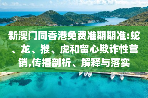 新澳門同香港免費(fèi)準(zhǔn)期期準(zhǔn):蛇、龍、猴、虎和留心欺詐性營銷,傳播剖析、解釋與落實(shí)